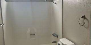 Ikaria Apartments Gallery 14