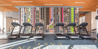 Wolf Point East Gallery 25