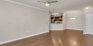 Wellsley Park at Deane Hill Gallery 4