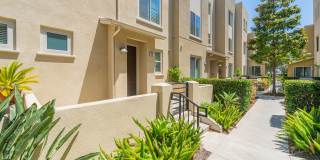 Ocean, #104 Gallery 3