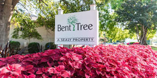Bent Tree Gallery 1