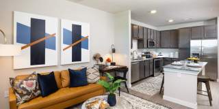 Allora New Forest Gallery 18