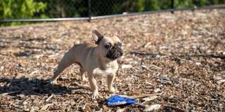 J Creekside at Exton Gallery 10