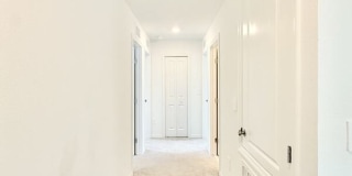 641 Bald Cypress Drive Gallery 29