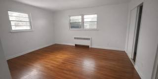 46 Elmira Street Gallery 2