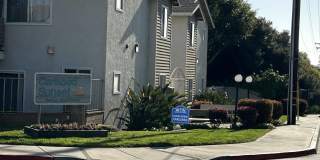 Carlsbad Sunset - Senior Housing Gallery 20