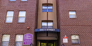 Geno Baroni Gallery 29