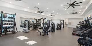 The Maddox Gallery 38