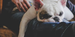 27 Seventy Five Mesa Verde Gallery 19