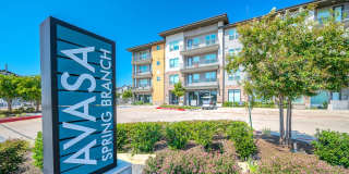 Avasa Spring Branch Gallery 47