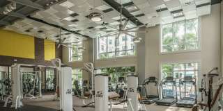 The Retreat at Sawgrass Village Gallery 12