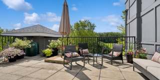 Zen Chaska Zen Chaska Gallery 26