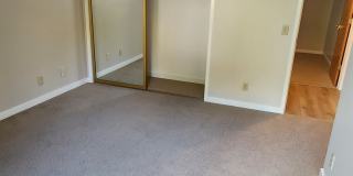 1970 Bush Street 1970 Bush Street Gallery 18