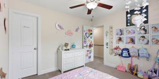 317 Little Egret Lane Gallery 34