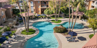 Palms on Scottsdale by Mark-Taylor Gallery 11