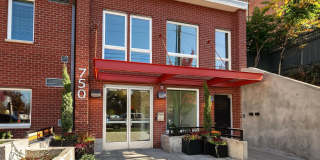 1 Bed 1 Bath Capitol Hill Condo! Rooftop + Gym Access Gallery 1
