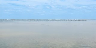 Ritz-Carlton Residences Tampa Gallery 65