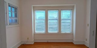 The Shamrock North Gallery 22
