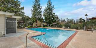 Los Gatos Creek Gallery 10