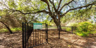4411 Spicewood Springs Rd, #1018 Gallery 5