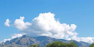 Mountain Village Apartments Gallery 4