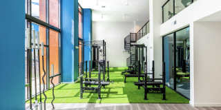 The Centro Gallery 9