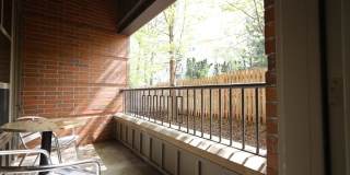 Settlement Place Gallery 336