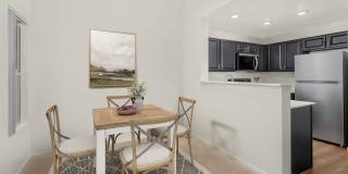 Sahara West Gallery 7