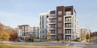 Vine North Hills Gallery 39