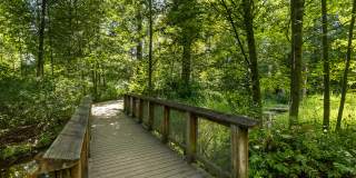 North at Totem Lake Apartments Gallery 43