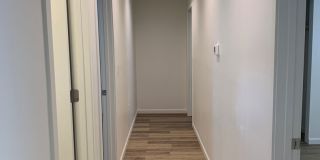 Pantano Vista Gallery 8