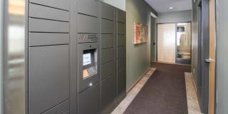 Woodland Park Gallery 31