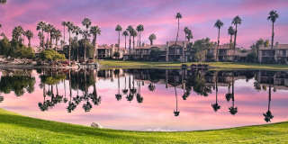 55504 Firestone Gallery 21