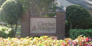 Cedar Ridge Gallery 1