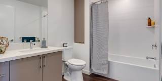 The Merian Gallery 44