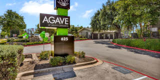 Agave at South Congress Gallery 3