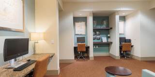 Domain at Kirby Gallery 57