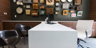 Pinnex Gallery 45