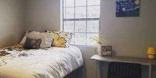 Sycamore Place Gallery 36