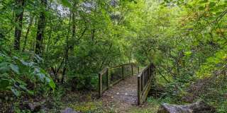 Brush Creek Meadows Gallery 5