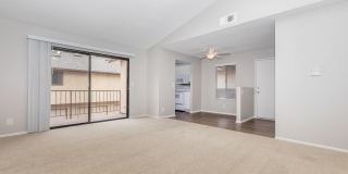 Mountain Springs Gallery 13