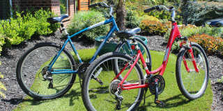 Collins Crossing Gallery 2