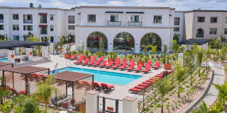 Vineyards Gallery 33