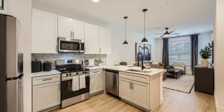 Jasper at Victory Ridge Gallery 26