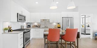 The Pioneer Gallery 60