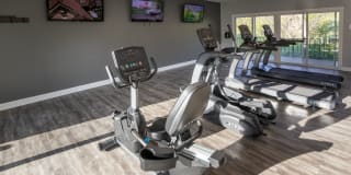College Woods Gallery 50