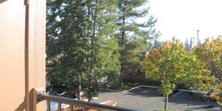 Linden Highlands Gallery 17