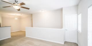 Pine Lake Gallery 49