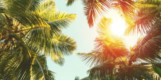 Mira Crystal Lake Gallery 45