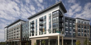 The Laureate Gallery 49